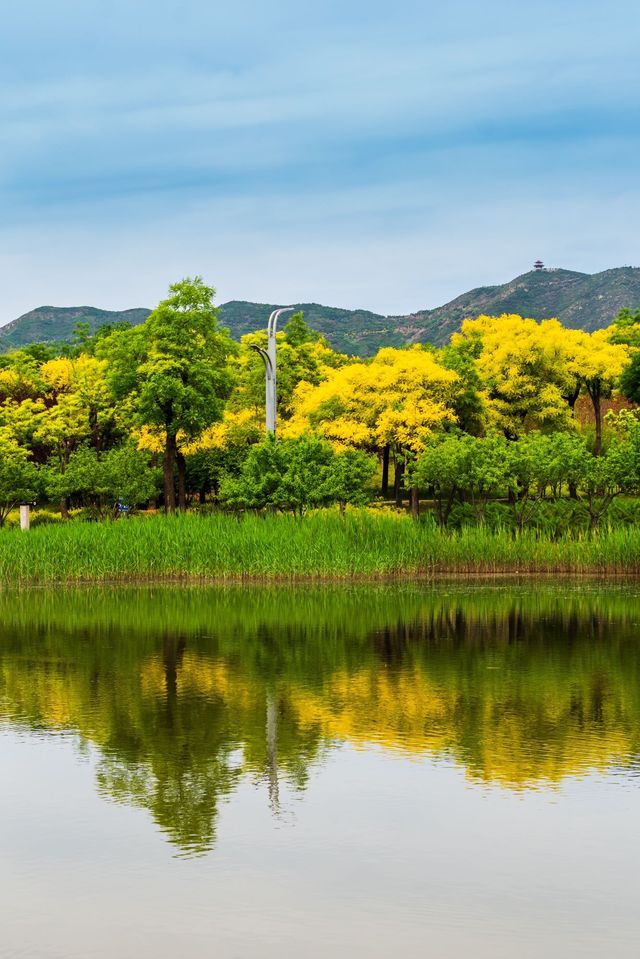 龙泉湖公园