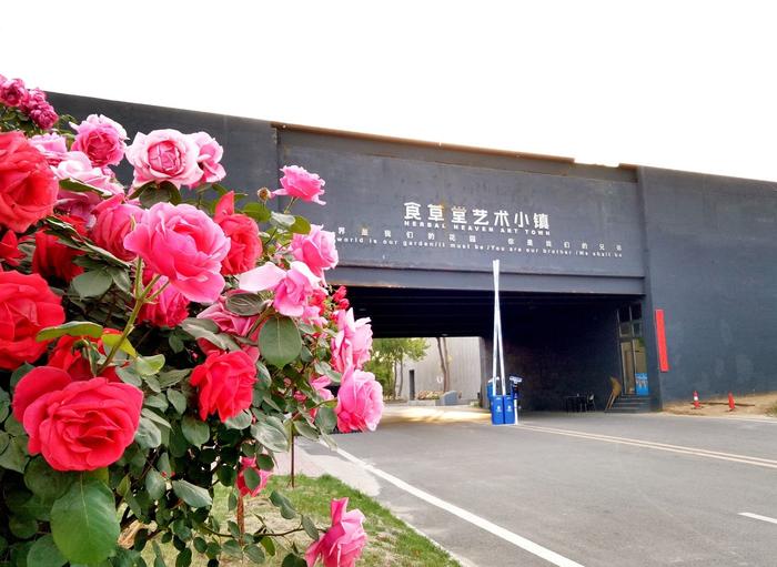 食草堂艺术小镇