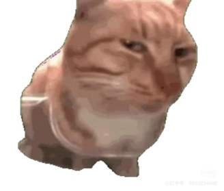 陈嘉琪